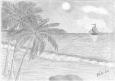 Море, пальмы