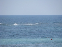 Море