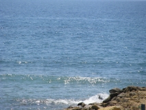 Море
