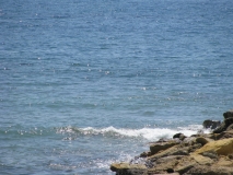 Море