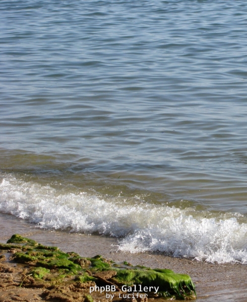море, берег