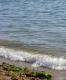 море, берег