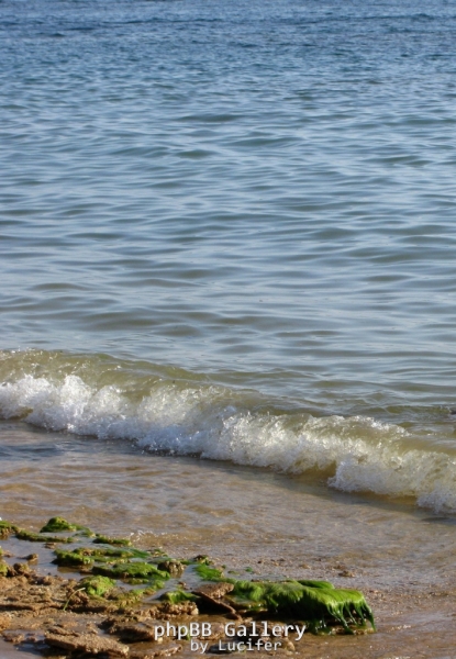 море, берег
