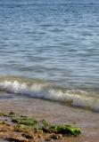 море, берег