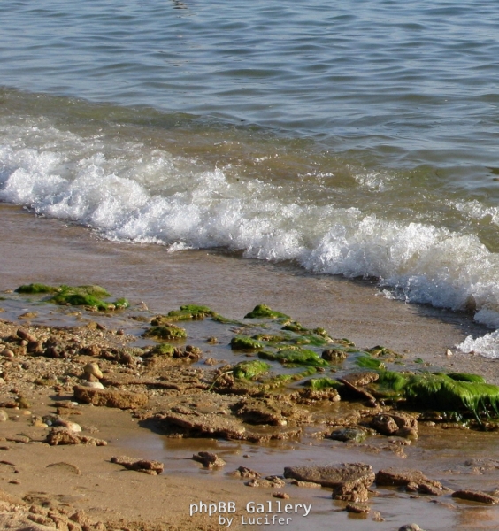 море, берег