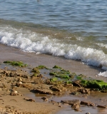 море, берег