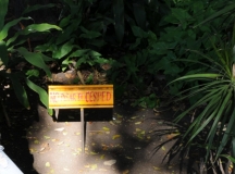 No pisar el cesped