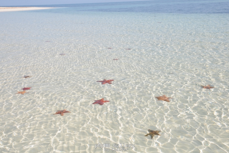 звездное море