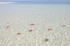 звездное море