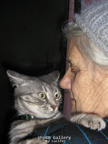 Муська-знакомая