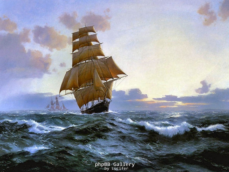 Tall ships race