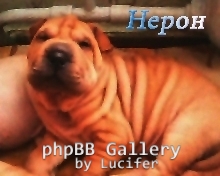 Нерончик )))