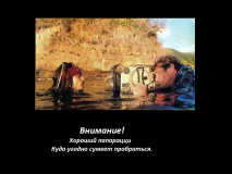 папарацци