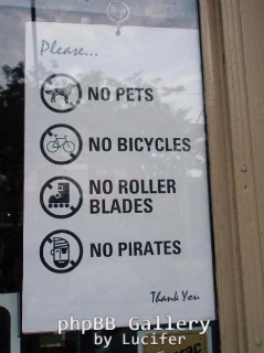 no pirates