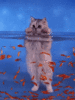 84036583_defne92.gif