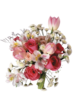 72273378_1300540479_Flowerses_part_1_8.png