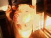 IMG2151A1.jpg