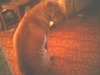 IMG2148A1.jpg