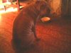 IMG2147A1.jpg