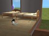 snapshot_dd4d441e_9d4d5d35.jpg