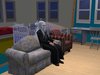 snapshot_3d4cee0d_5d4f9b41.jpg