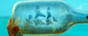 tumblr_mh23ryiWeM1qjix3bo1_500.gif