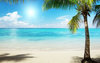 1c3c64a9d393f36619aefee21b7.jpg