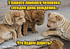 0a1298143d86771a730f242b665b17e6.gif