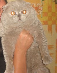 папа Селены.jpg
