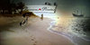 2811010807_0f78eed3bd_z.jpg